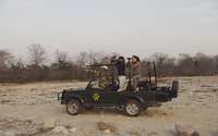 Safari