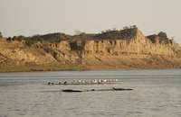 CHAMBAL BOATRIDE